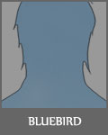 Bluebird